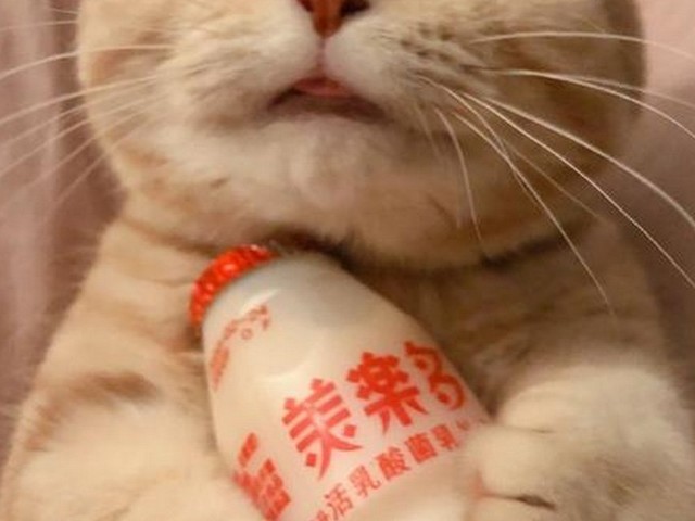 加菲猫童装加盟,干童装一年最低挣多少